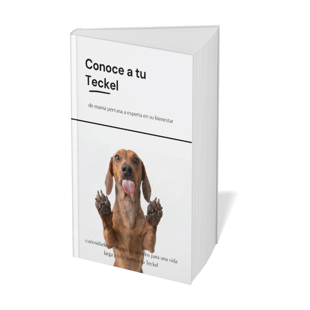 Portada Ebook Conoce a tu Teckel