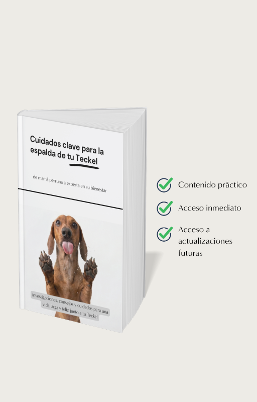 Portada Ebook Conoce a tu Teckel