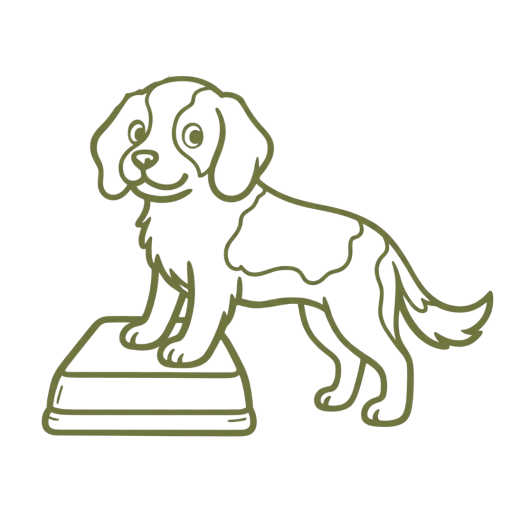 Dogfitnessbycdm