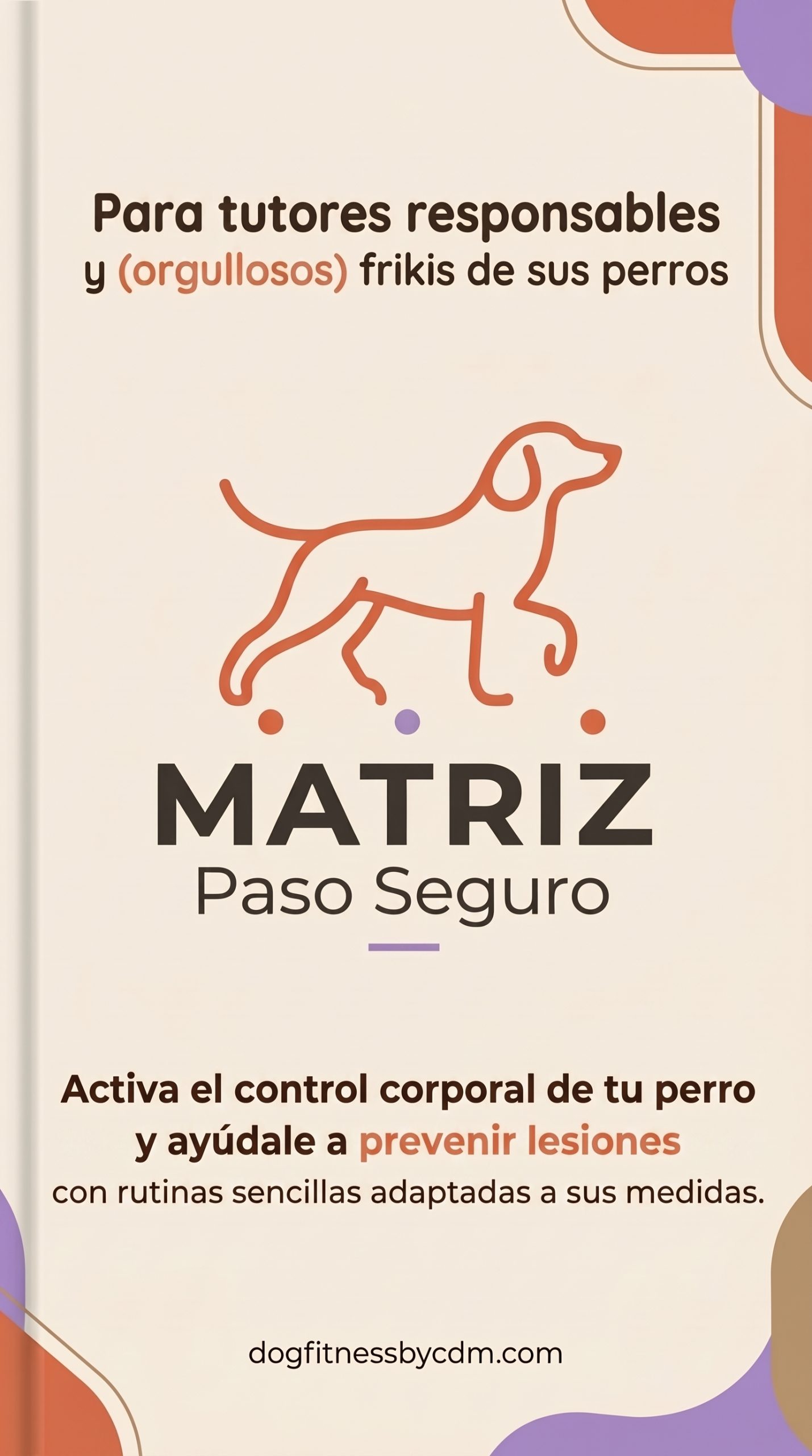 Portada Matriz Paso Seguro